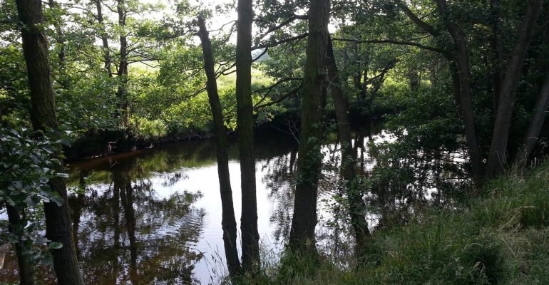 River Nidd – Knaresborough Piscatorials